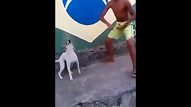 That dog is dealing it